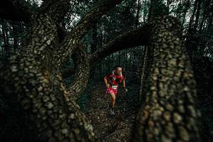 BIB: 
                            <button type="button" onclick="openModal(25691368)" class="btn btn-primary btn-sm float-right btn-popup" data-toggle="modal" data-target=".modal-high-quality">
                        <i class="fas fa-shopping-cart"></i> Add to Cart
                    </button>
                                            <button type="button" onclick="isThisMe(25691368, true)" class="btn btn-success btn-sm float-right btn-popup btn-isme hidden" data-toggle="tooltip" data-placement="bottom" title="นี่คือรูปของคุณใช่ไหม คลิกที่นี่เพื่อเอาเข้าอัลบั้ม">
                        <i class="fas fa-plus"></i> Add to album
                    </button>
                    <button type="button" onclick="isThisMe(25691368, false)" class="btn btn-warning btn-sm float-right btn-popup btn-isnotme hidden">
                        <i class="fas fa-ban"></i> Remove from album
                    </button>